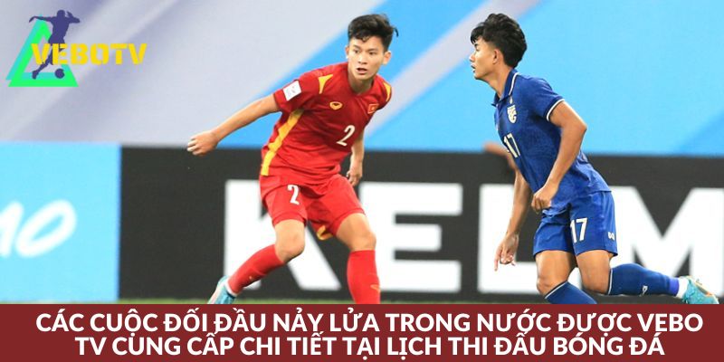 Lịch thi đấu tại các giải tranh tài trong nước được VeboTV cập nhật siêu chuẩn